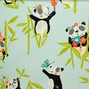 Pt.5723-604 PANDA AQUA