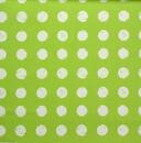 Pt.5729-603 ZERO APPLE