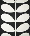 Eijff.4477-1 - Big Leave