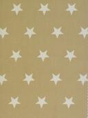 Sf. 6991 Astre ficelle 002