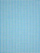 Be. 1000 BB 0.2 cm aqua