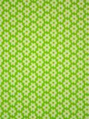 Be. 1407 BB-bloem lime