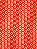 Be. 1407 BB-bloem oranje