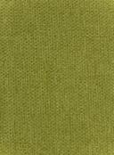 17. Eb. Strata - Kiwi 580jpg