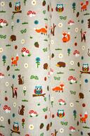 Bb 07263-01 Forest Life