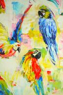 Pt.8570-522 MACAW TROPICAL