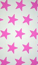 Bb. 00259-01 Ster Roze